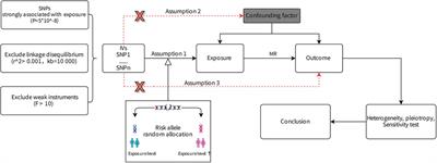 Platelet indices and the risk of pulmonary arterial hypertension: a two-sample and multivariable Mendelian randomization study